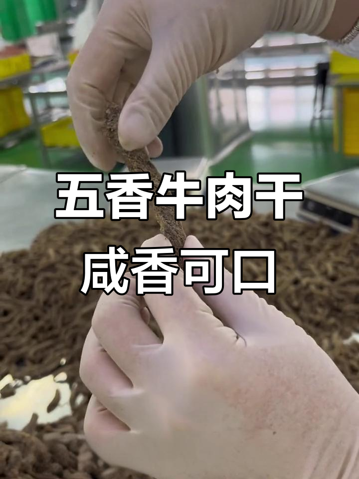 这款五香牛肉干咸香有嚼劲,大人小孩都爱吃