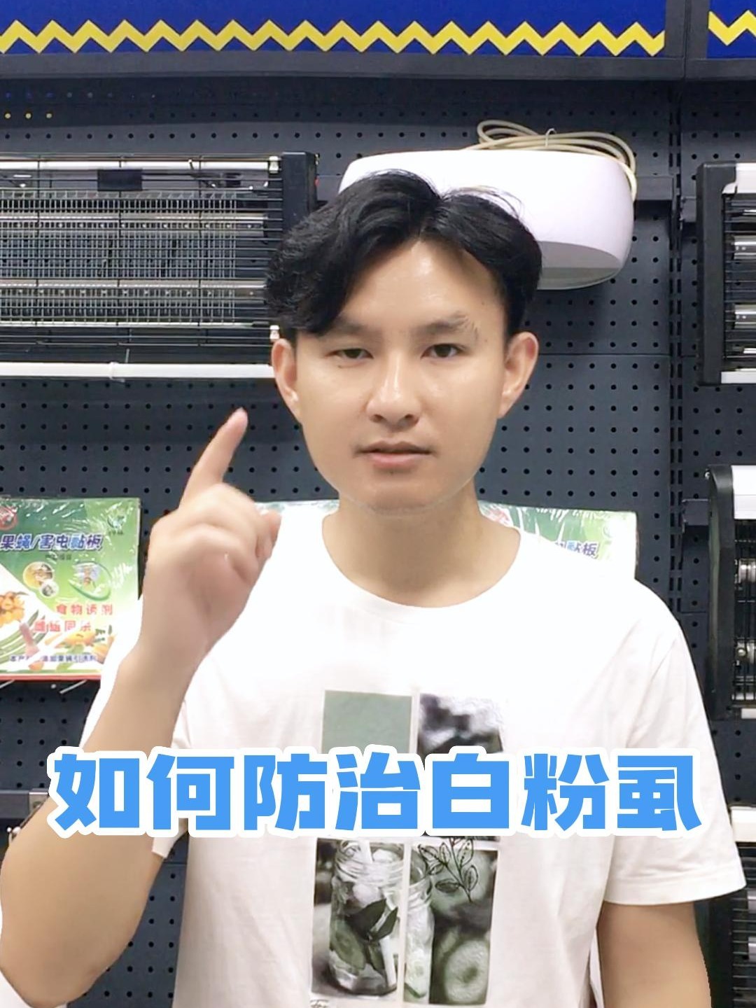 家里的植物长了白色小飞虫,那是什么东西?