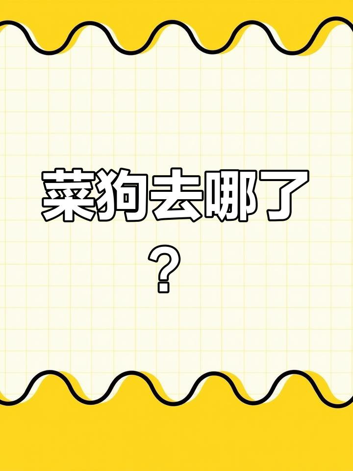 菜狗表情包失踪,翠西亚带你闯入蒸汽朋克世界