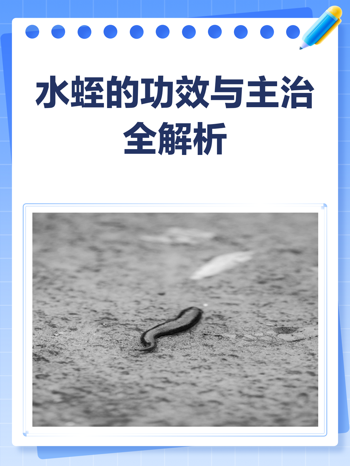 水蛭,这味中药真的有点“毒”!