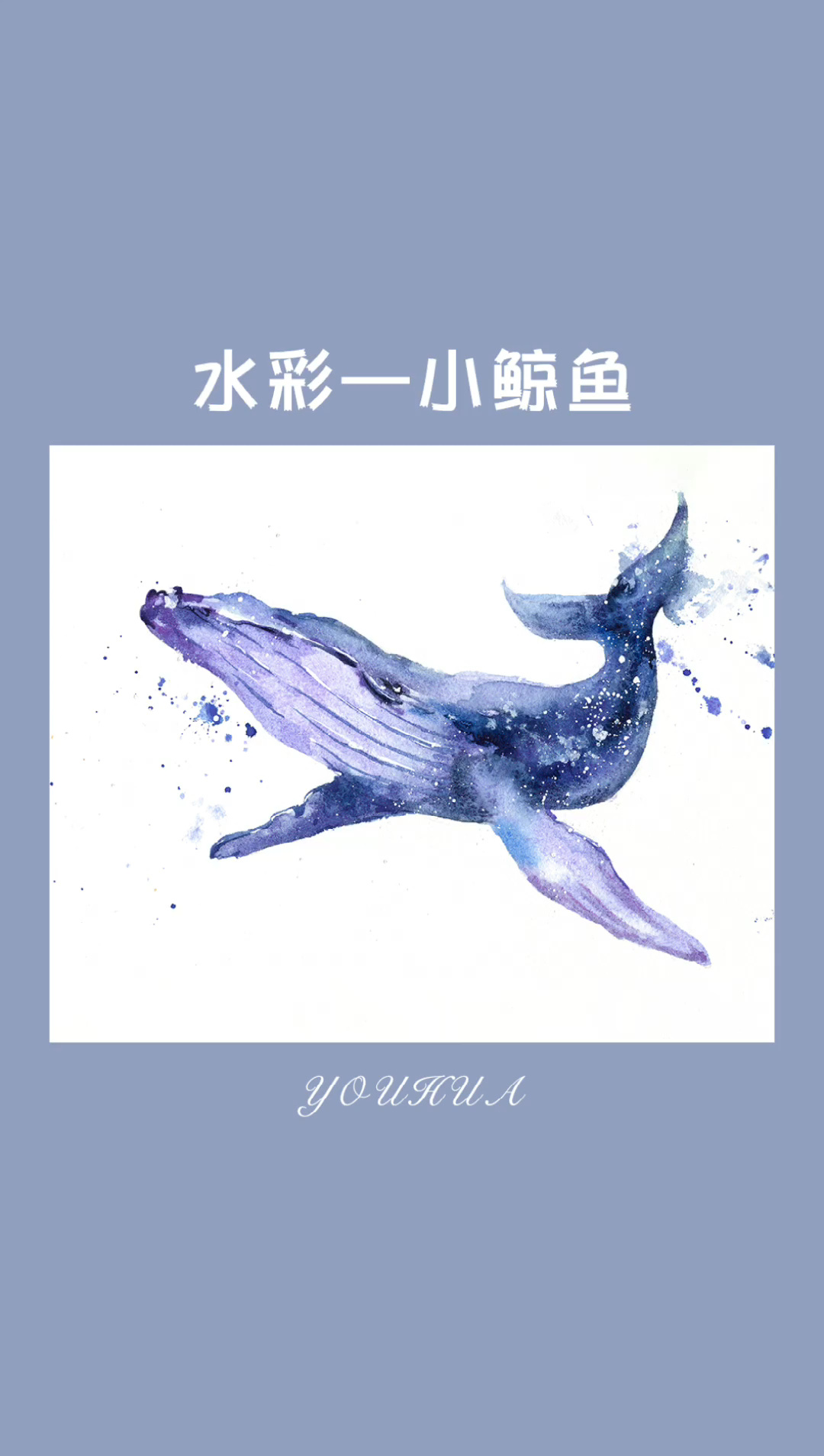 水彩 鲸鱼 教程 入门