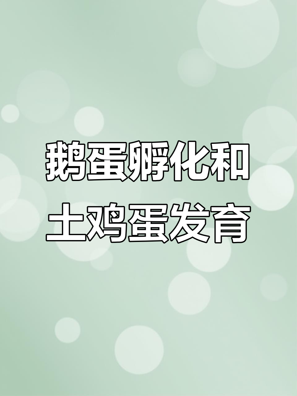 鹅蛋孵化15天,鸡蛋7天进展大揭秘