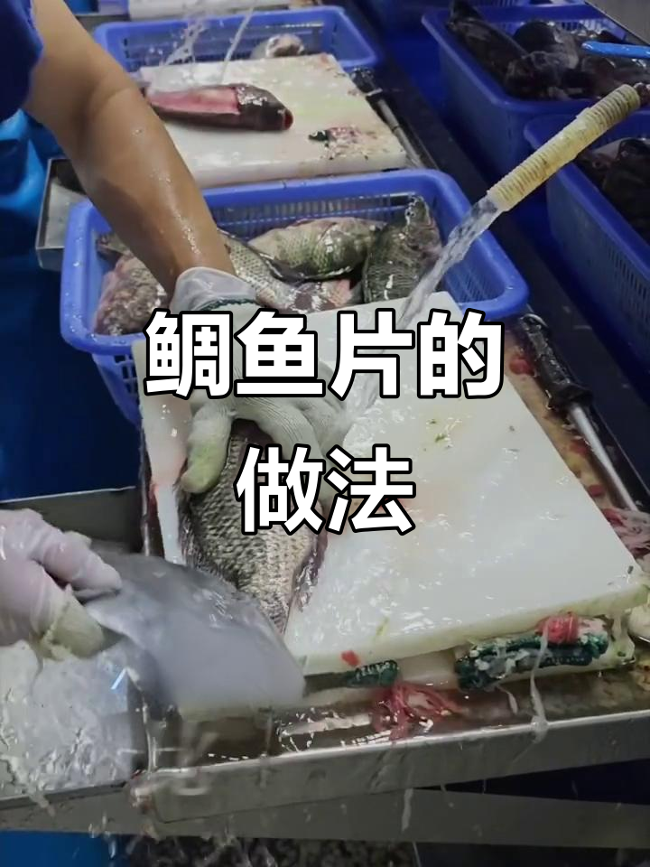 鲷鱼片制作全流程,带你了解美味背后的秘密