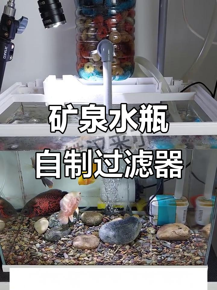 自制鱼缸过滤系统,生物膜效果惊人!