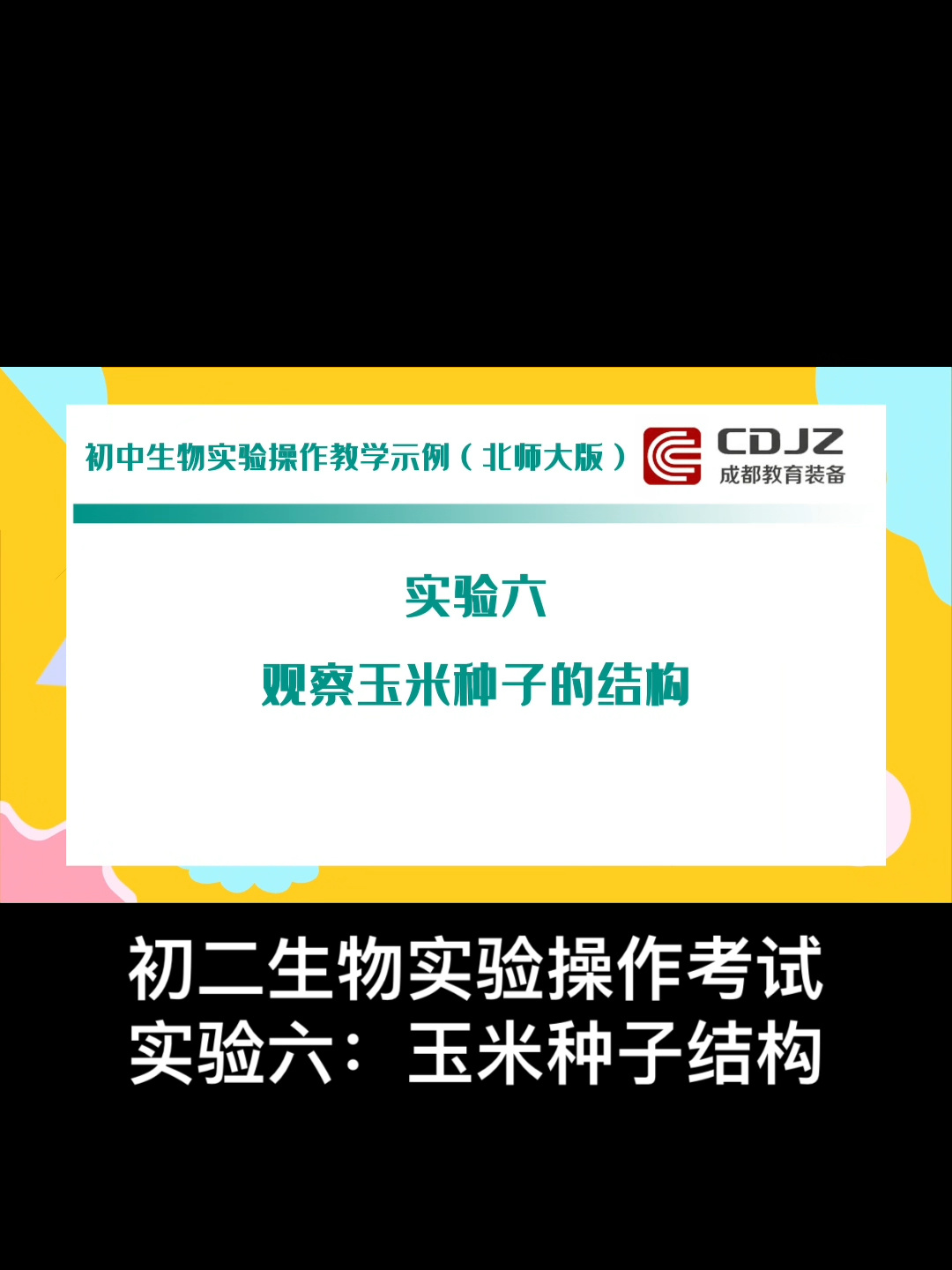 中考-实验操作考试(生物):实验六玉米种子