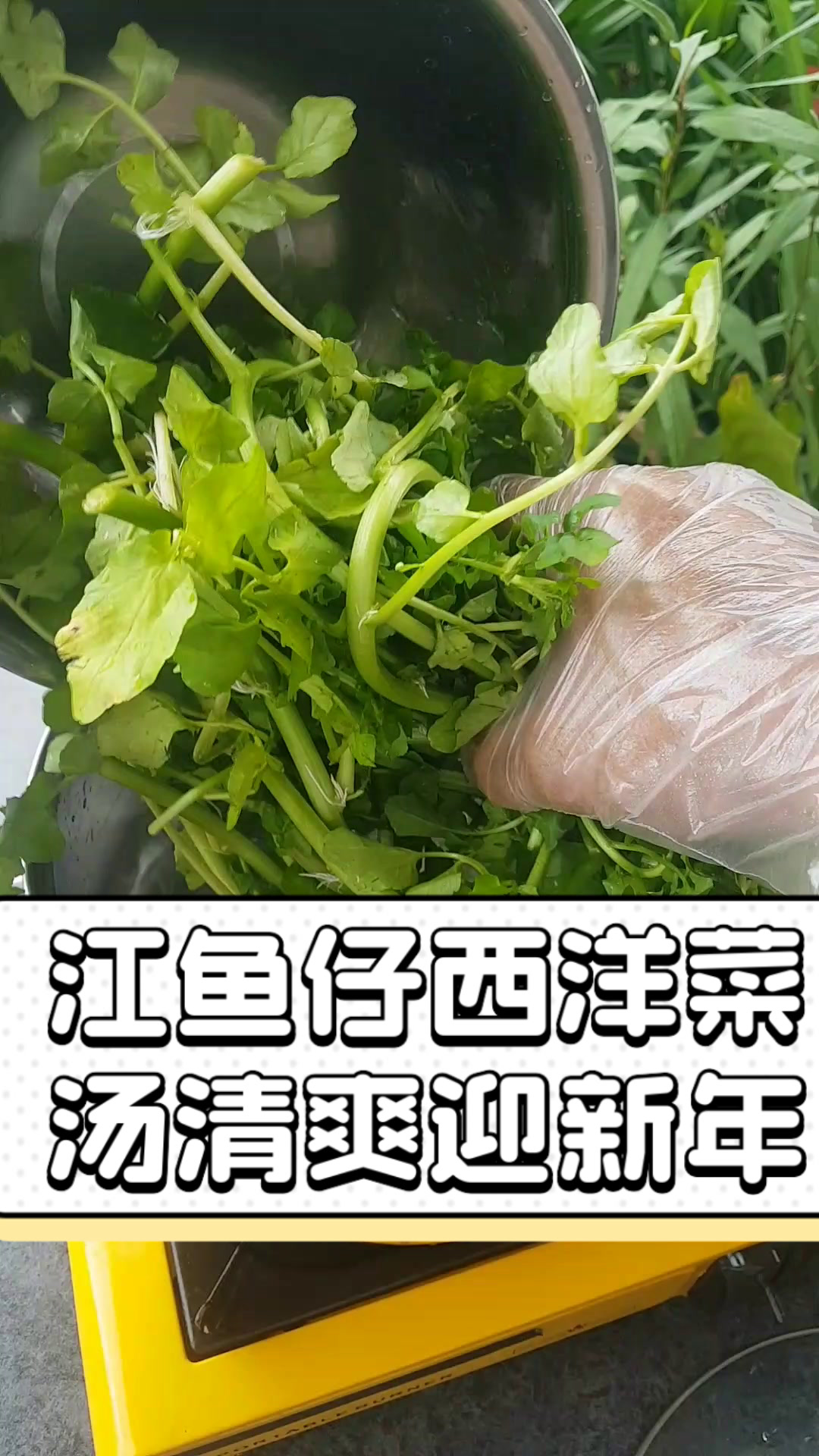 江鱼仔西洋菜汤,清爽迎新年