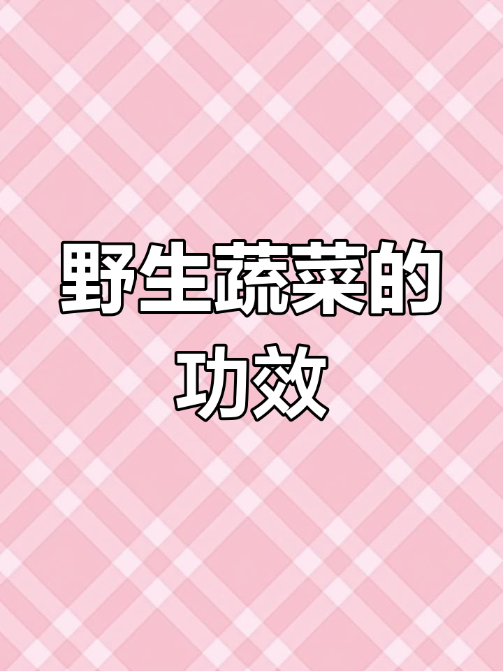 野菜刺五加与毛蕨的食用功效,了解苦麻菜的益处