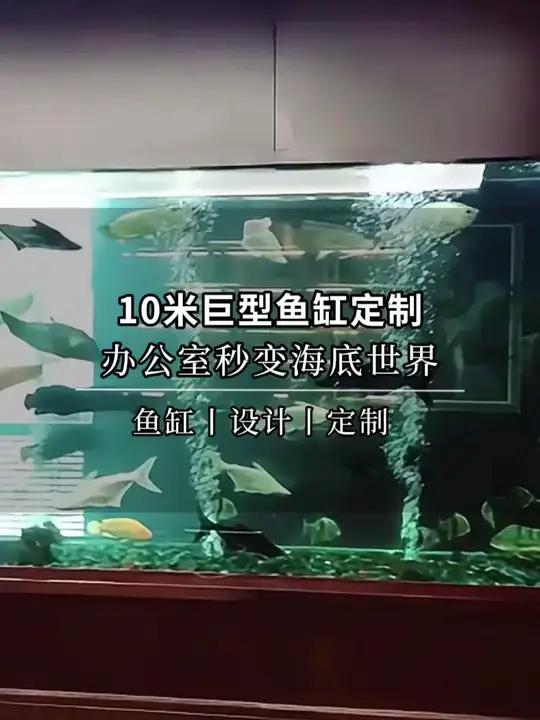 10米巨型鱼缸定制,办公室秒变海底世界