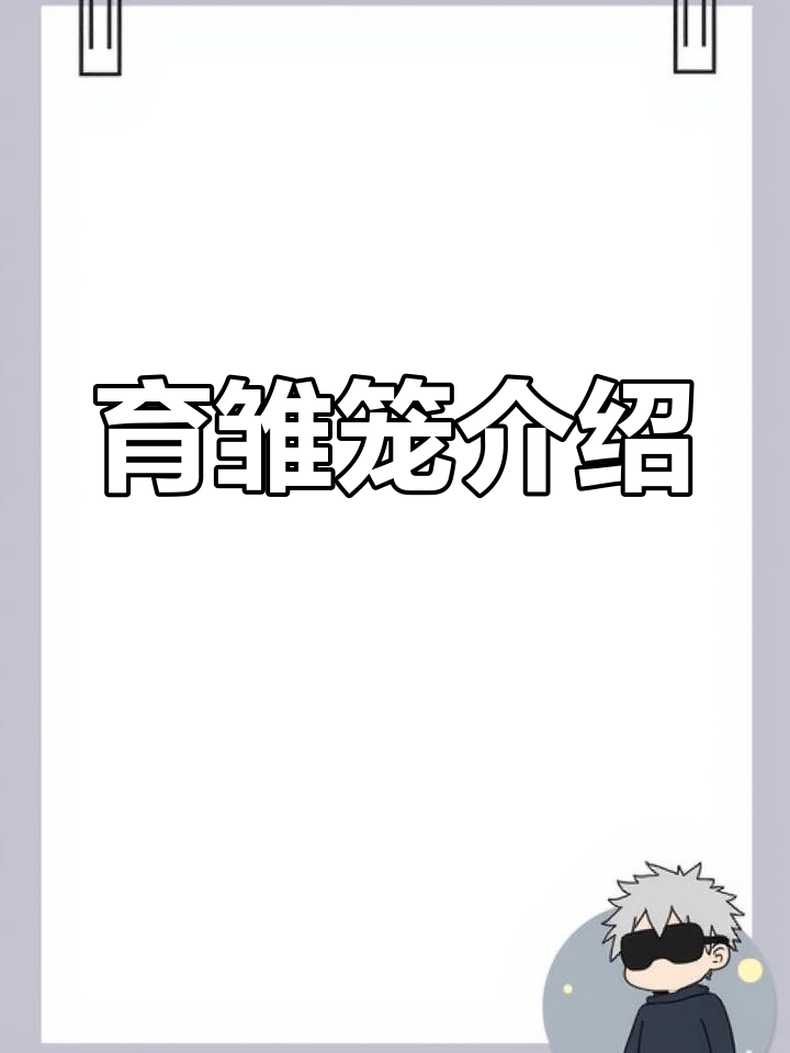 科学育雏笼,轻松脱温养鸡