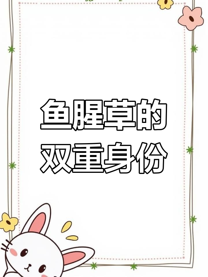 你听说过鱼腥草吗?它既是药又是菜,功效多多