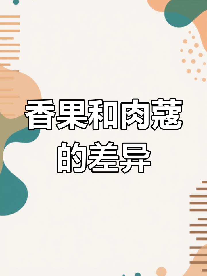 香果与肉蔻的区别解析:香气、功效大不同