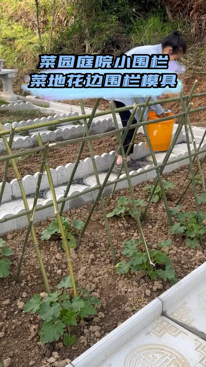 菜园围栏这样做 再也不怕菜园脏兮兮的了