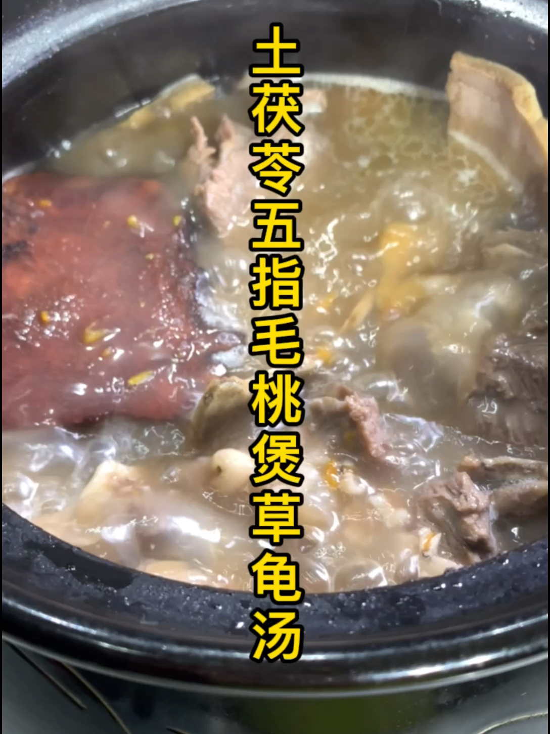 土茯苓五指毛桃煲草龟