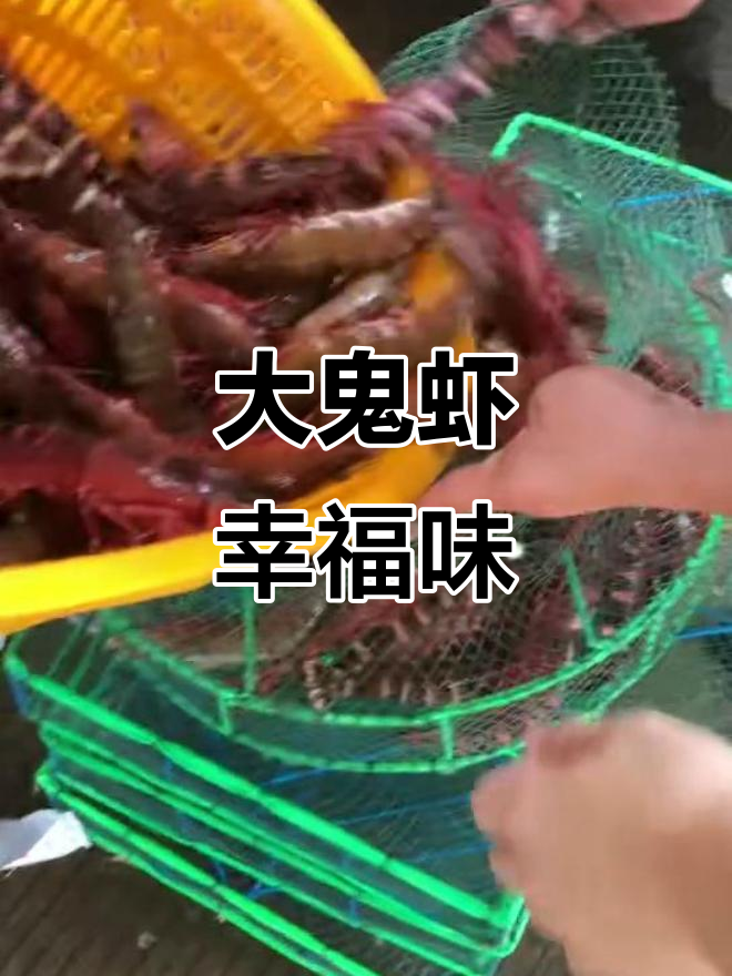 虾中王者!大鬼虾让你吃出幸福感