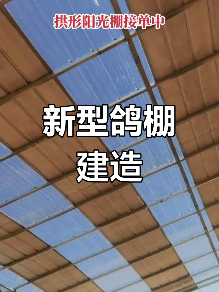 新型养殖大棚建设,鸽子KFG带来全新体验