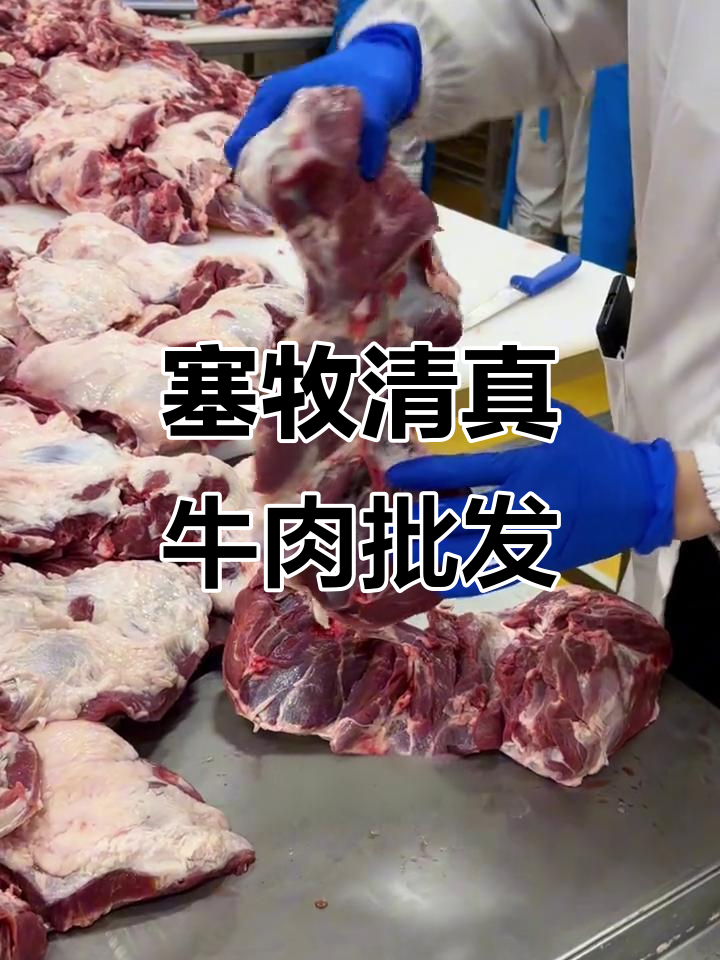 内蒙古塞牧清真牛羊肉工厂揭秘:羔羊后腿包品质与批发价格