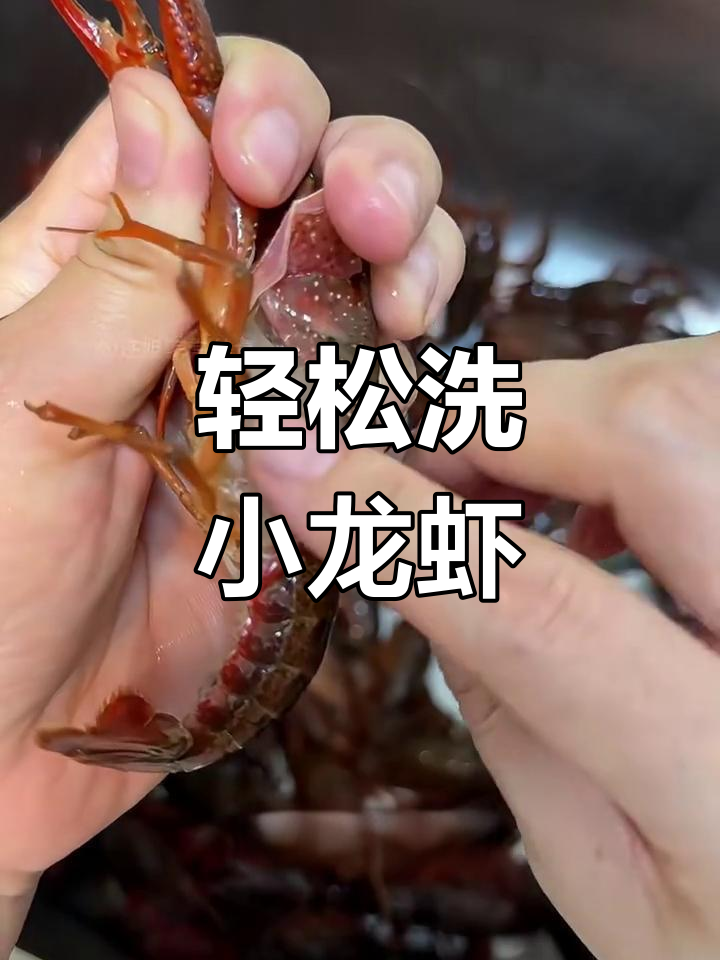 小龙虾清洗技巧大揭秘,快速去脏又方便