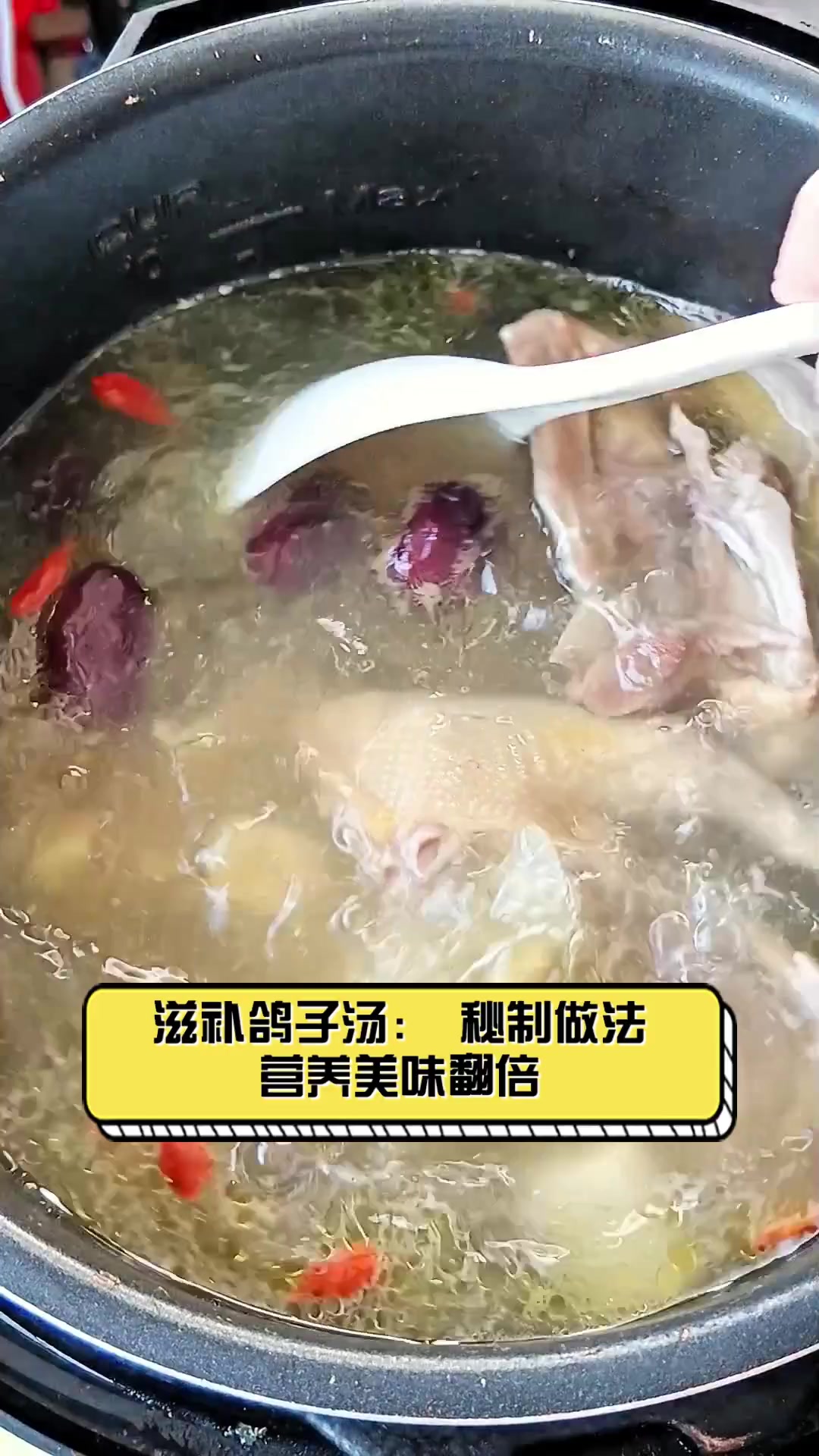 滋补鸽子汤:秘制做法,营养美味翻倍