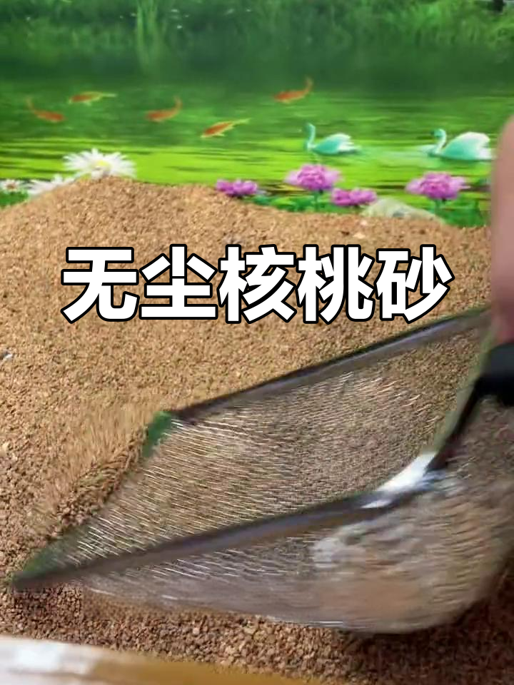 核桃砂垫料,室内养鸡更卫生