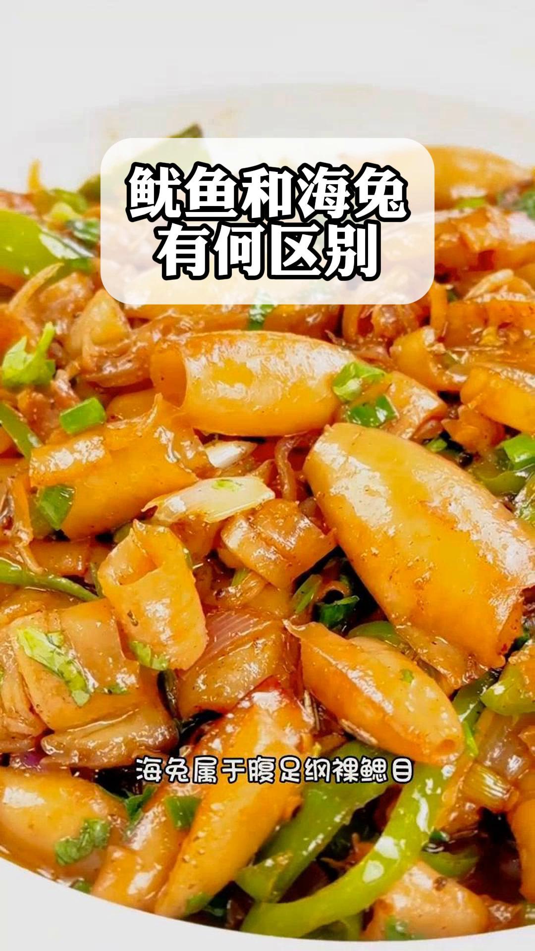 鱿鱼和海兔有何区别?