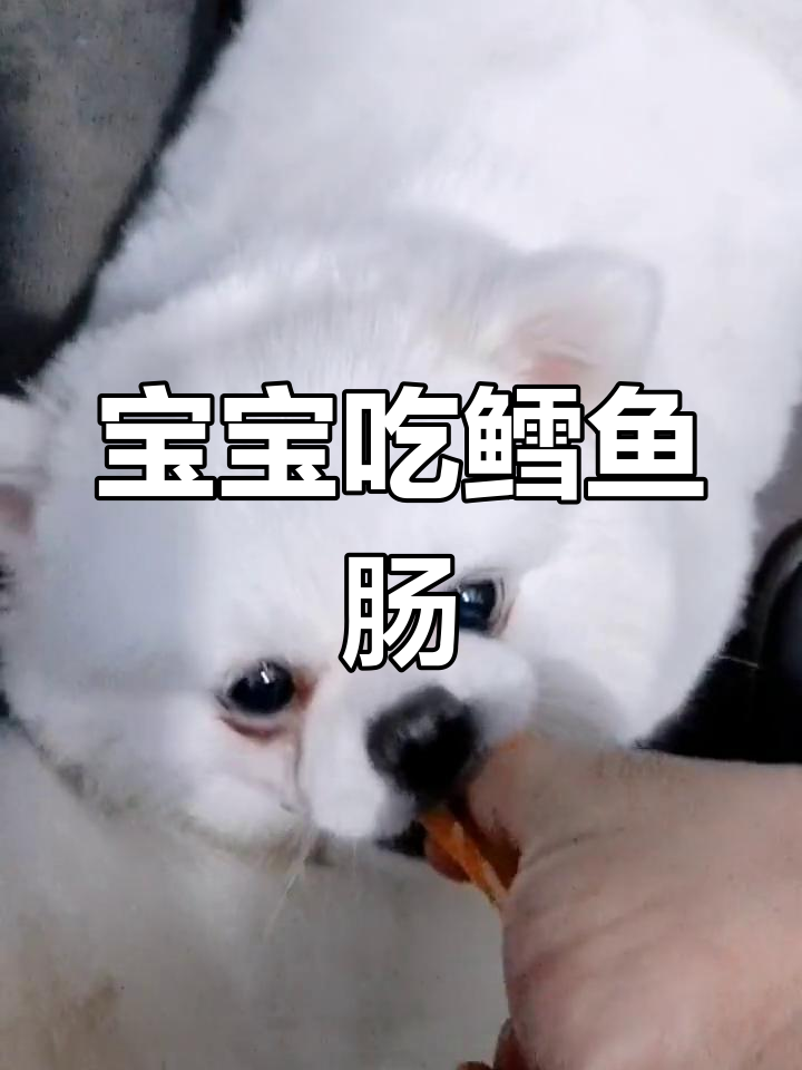 小茹妈妈喂鳕鱼肠,宝宝吃得真开心