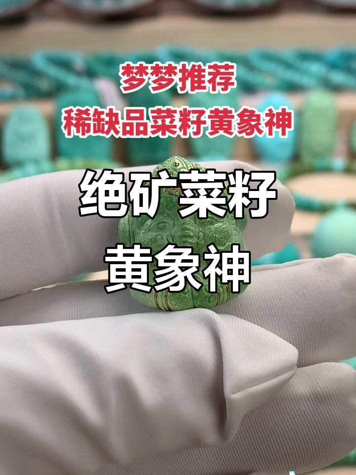 菜籽黄象神绿松石，稀缺珍品，完美雕刻展现高级感