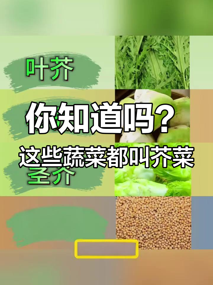 盖菜、雪里蕻和榨菜的真相:它们都是芥菜!