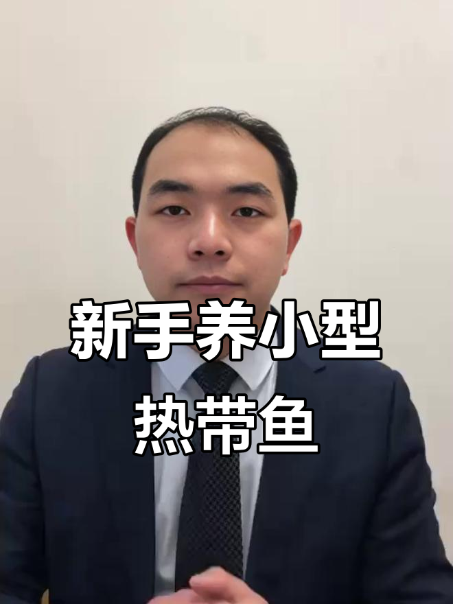 适合新手养的热带鱼推荐，轻松上手的小型观赏品种