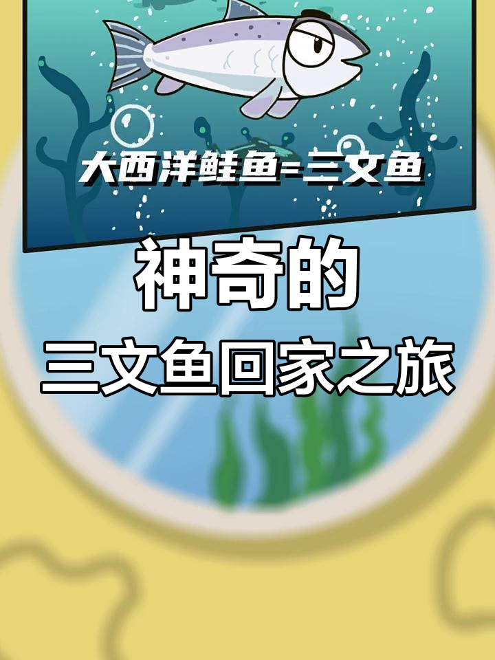 大西洋鲑鱼如何用嗅觉找到回家的路?