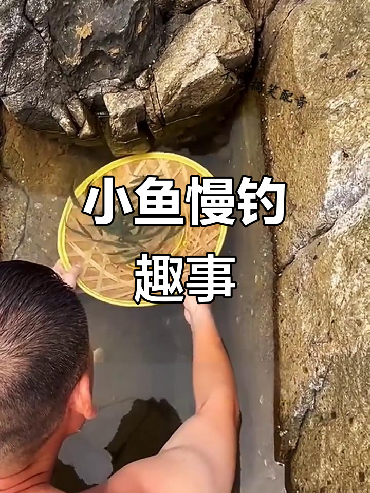 抓鱼不急,慢慢享受过程!小鱼上钩瞬间太搞笑