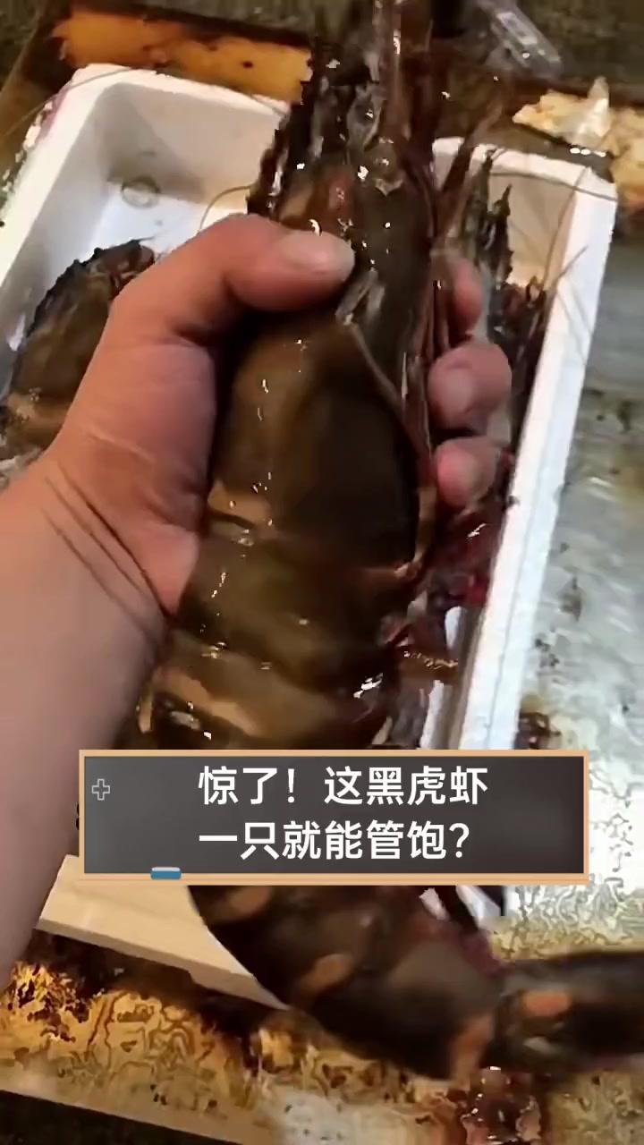惊了!这黑虎虾,一只就能管饱?
