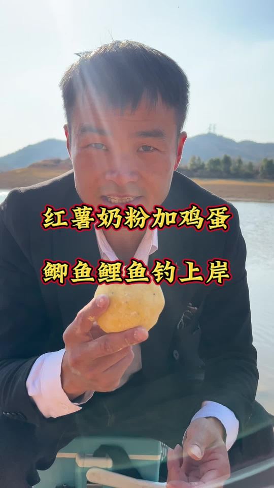 红薯奶粉加鸡蛋自制饵料，轻松钓上鲫鱼鲤鱼