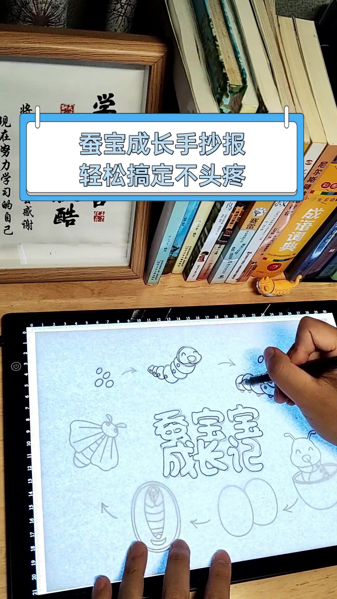 蚕宝成长手抄报,轻松搞定不头疼