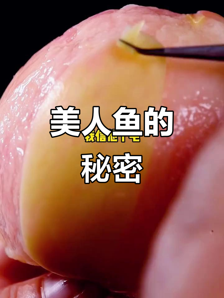 美人鱼的秘密