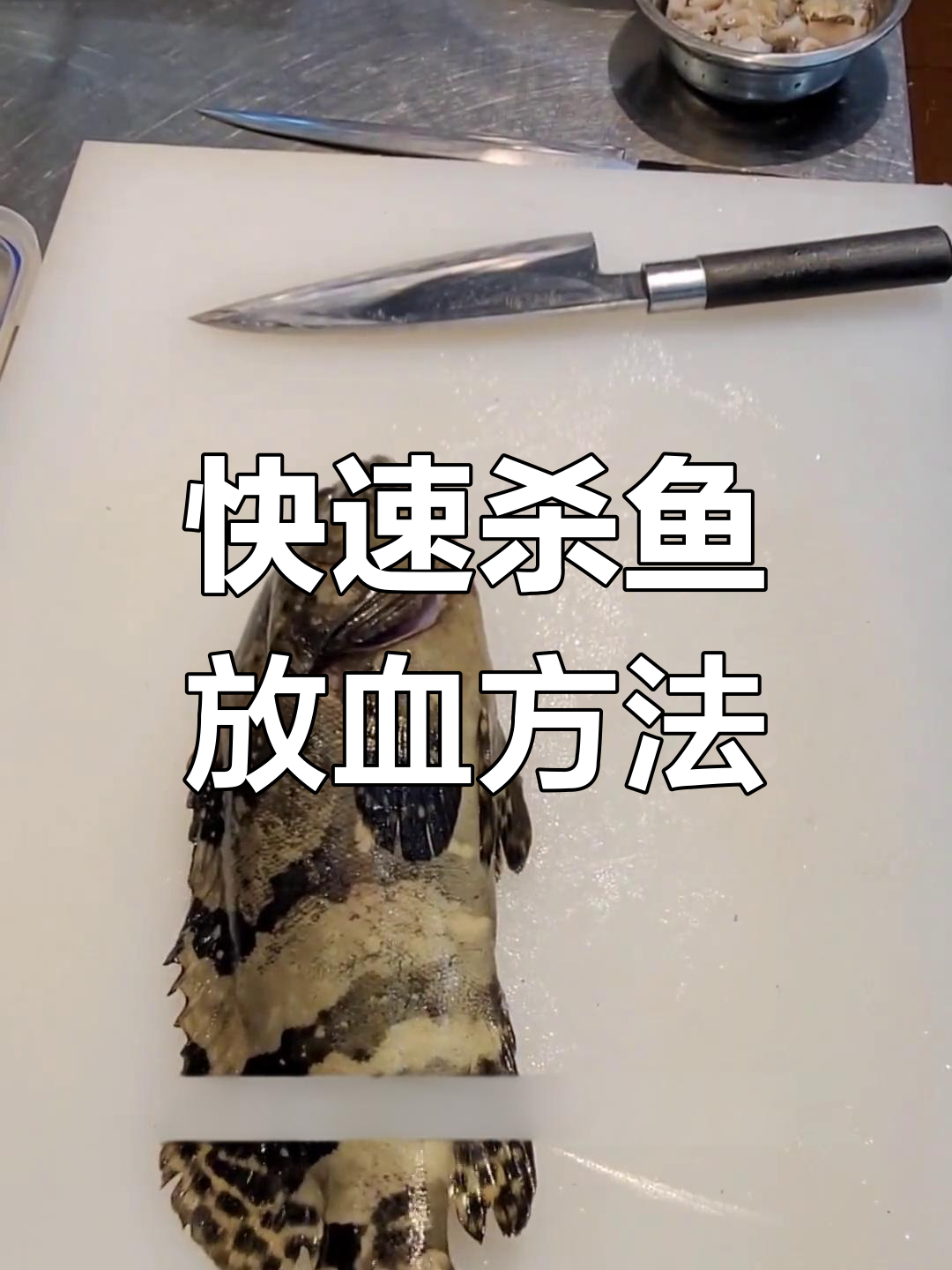 杀鱼技巧大揭秘:如何轻松放血并清理内脏