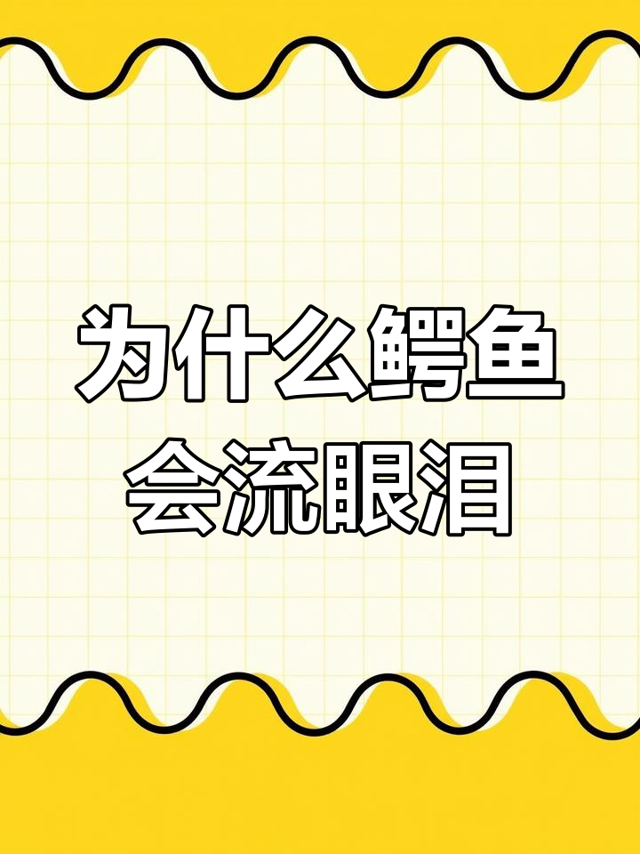 鳄鱼为何流泪?揭秘爬行动物的小秘密