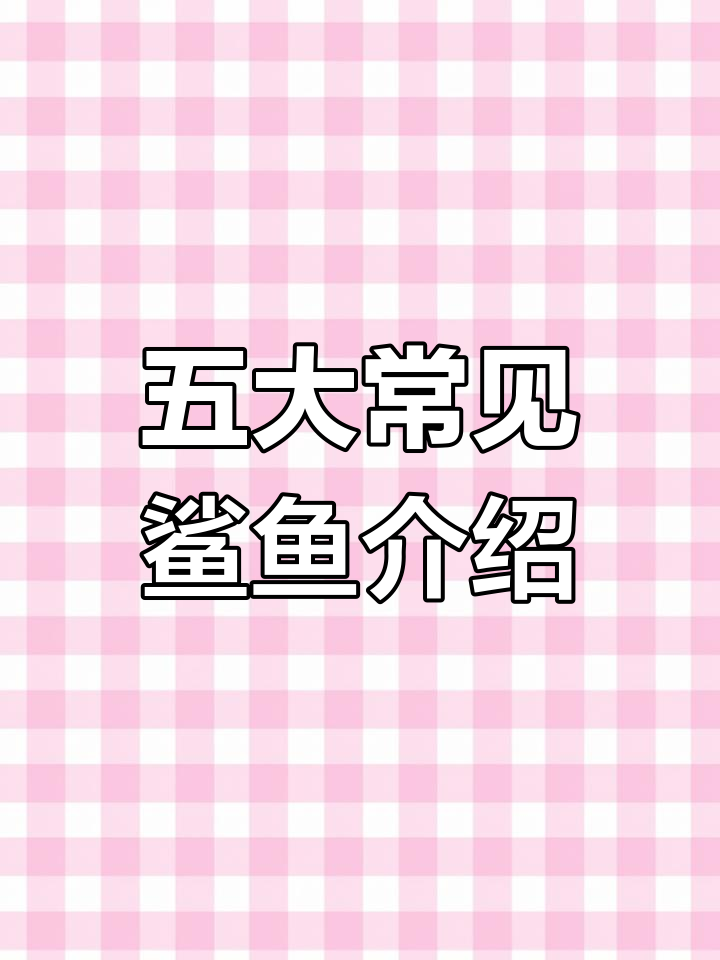 常见鲨鱼品种大揭秘:白鲨、鬼鲨、灰鲨等全解析