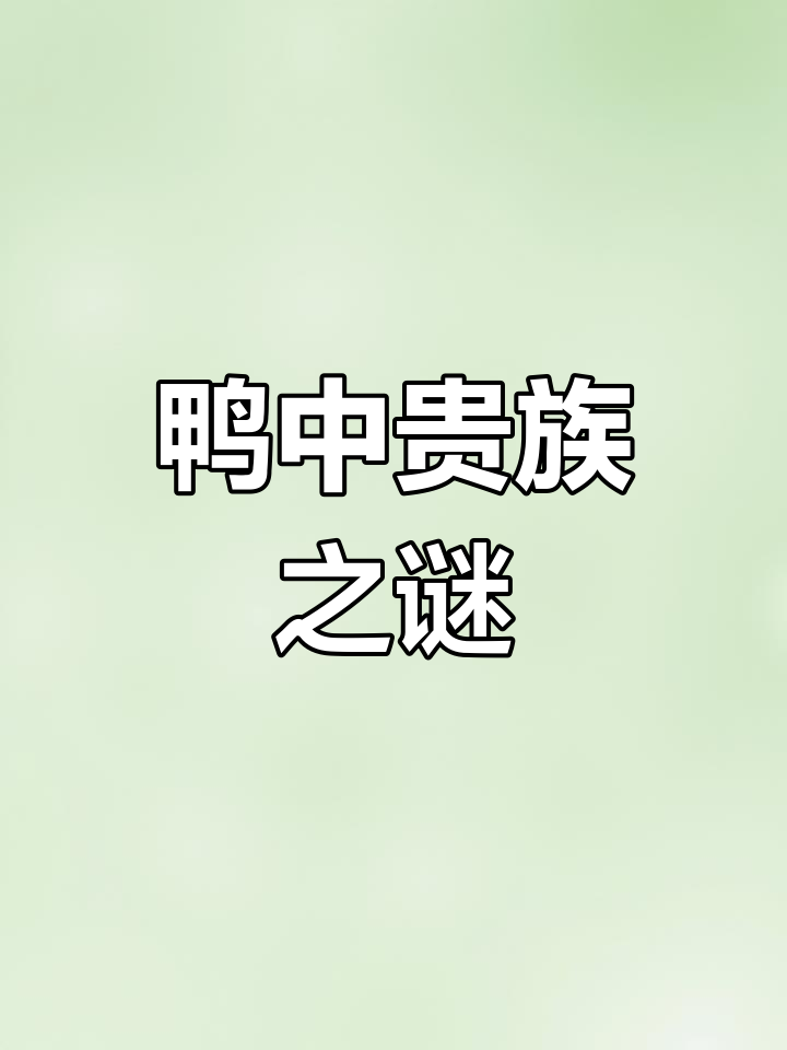 脸上长瘤的鸭子,竟成“贵族”般存在?为何没人养殖呢?