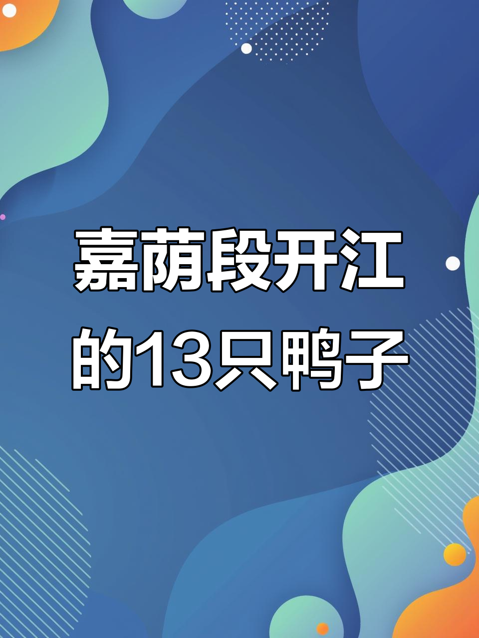 嘉荫开江时拍到的13种野鸭,叫声各异超有趣