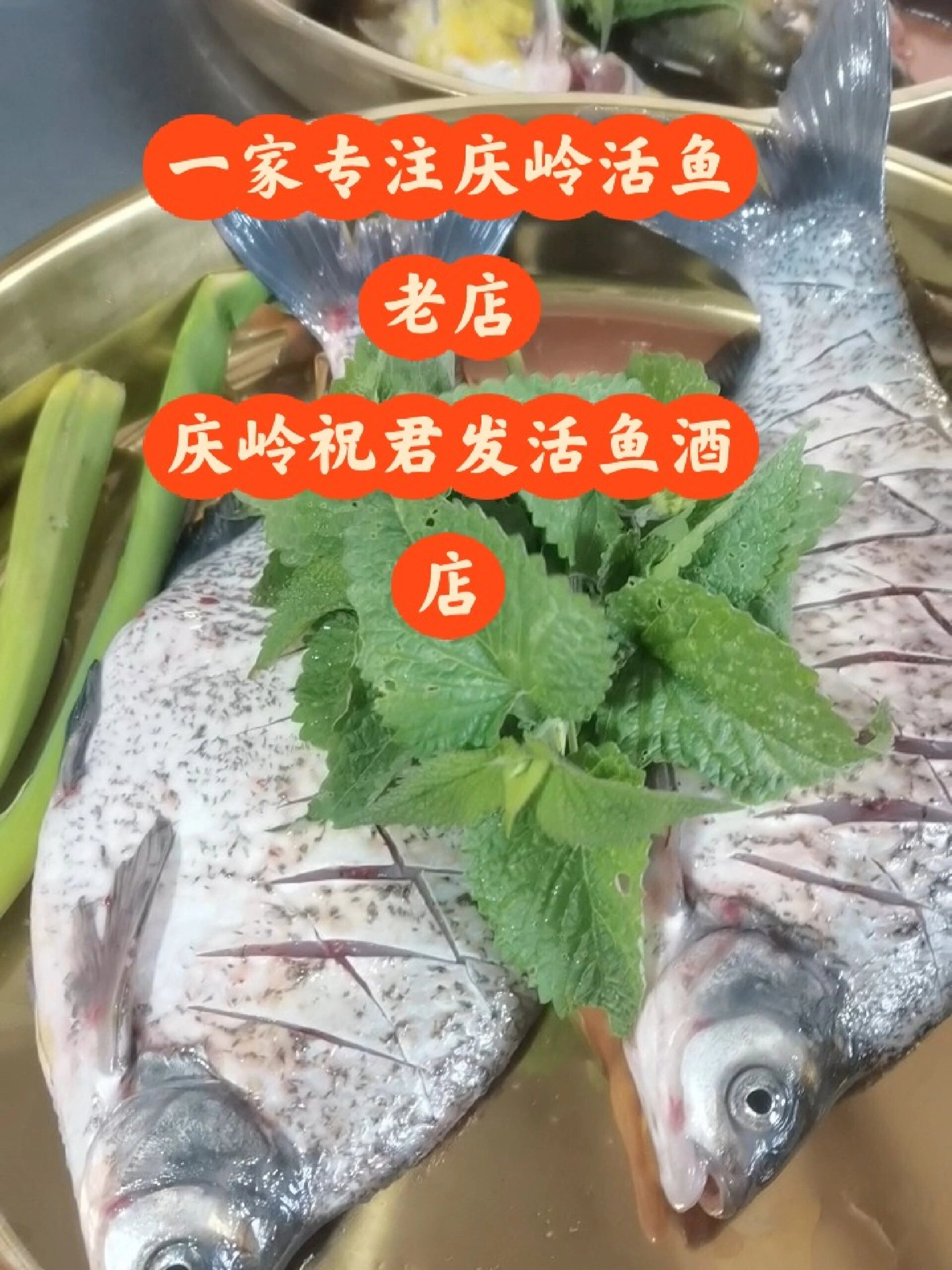 庆岭祝君发活鱼酒店·50年老店