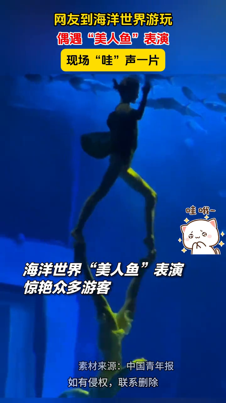 网友到海洋世界游玩偶遇“美人鱼”表演,现场“哇”声一片