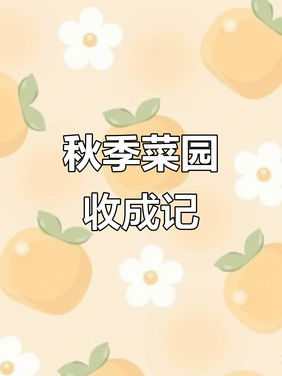 秋雨后菜园丰盈,荠菜苗长势喜人