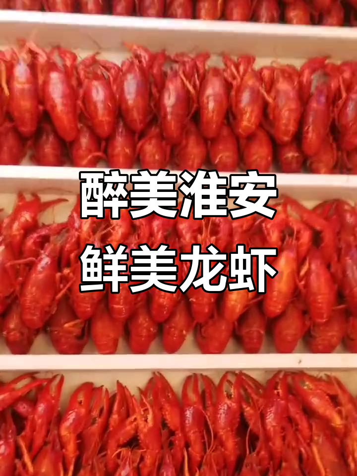 淮安美食与运河文化:盱眙龙虾的千年传承