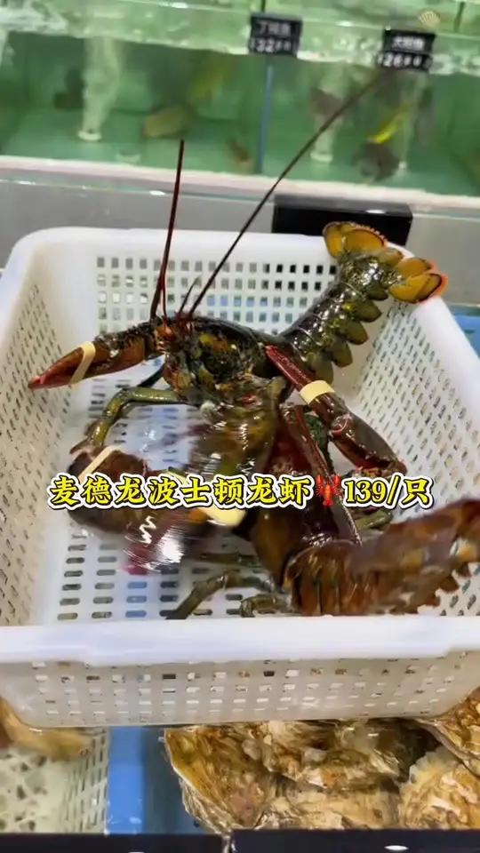 麦德龙波士顿139一只#麦德龙麦德龙超市波士顿龙虾波士顿大龙虾龙虾