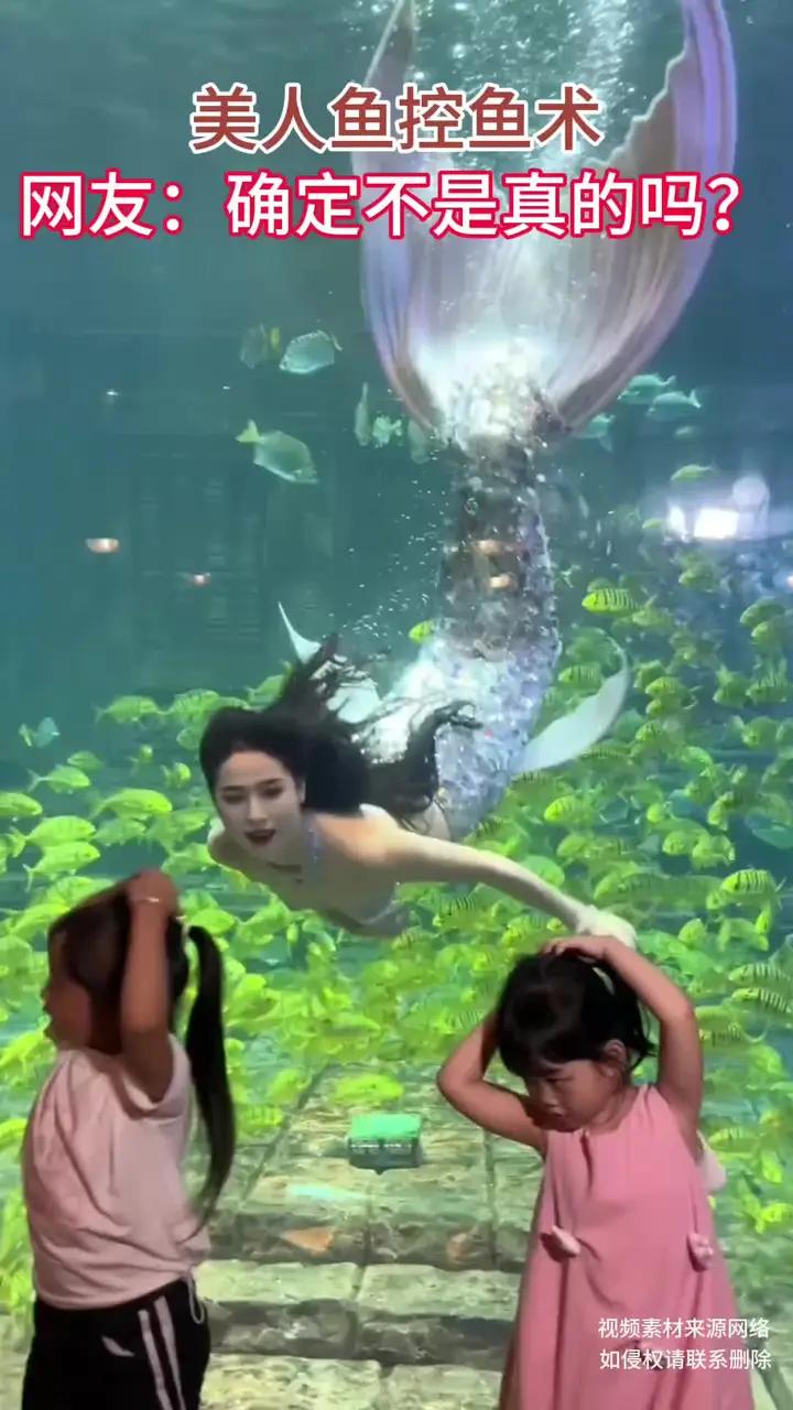 美人鱼控鱼术,网友:确定不是真的吗