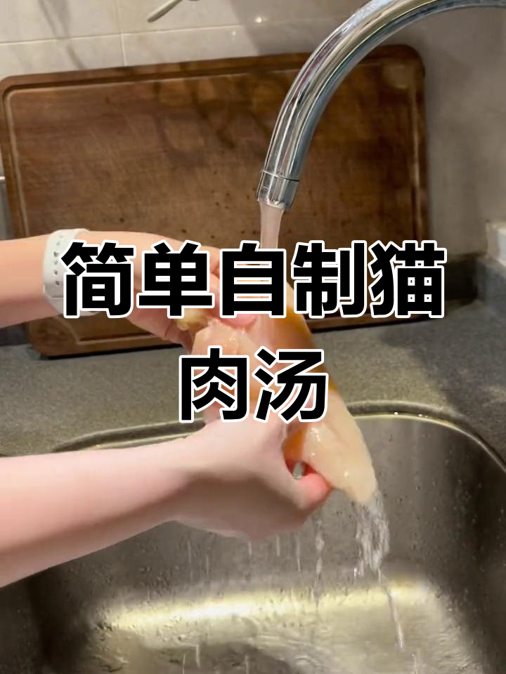 猫咪最爱的鸡肉汤做法