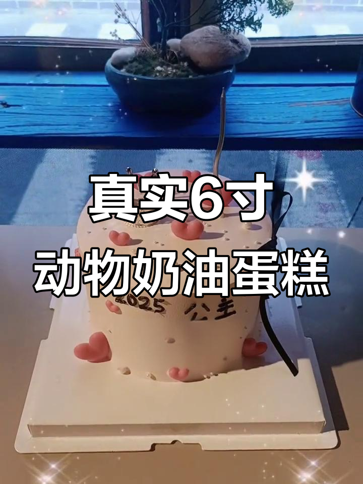 6寸动物奶油蛋糕实拍,细节满满!
