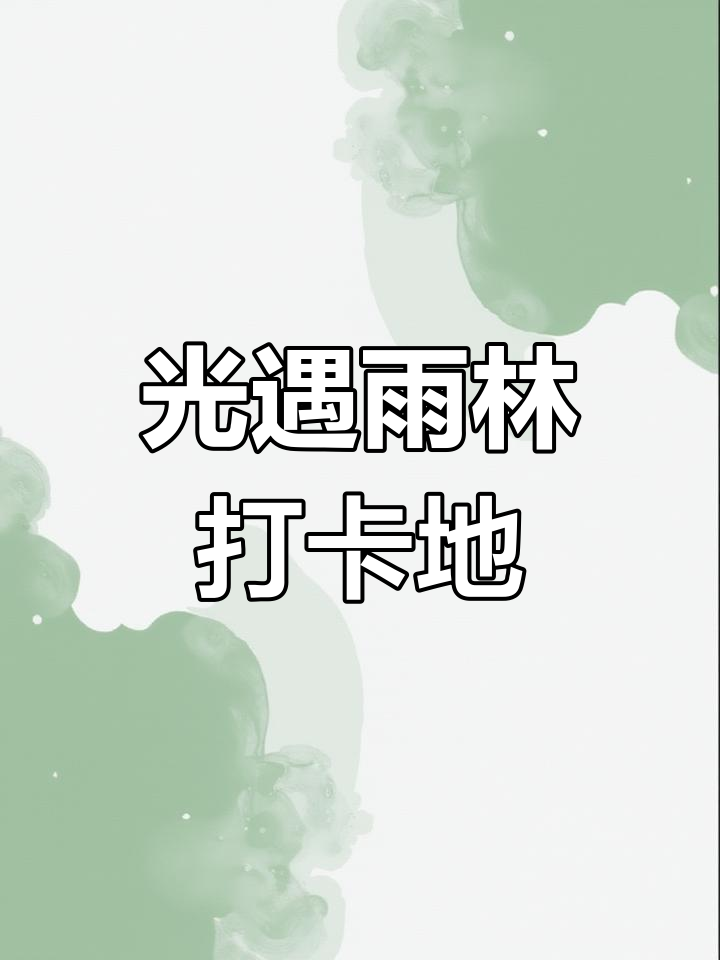 雨林大鱼与纸片森林打卡，光遇景点全攻略