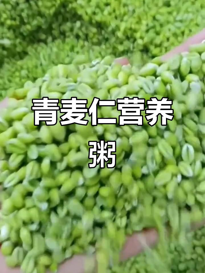 青麦仁营养粥,大人小孩都爱喝!