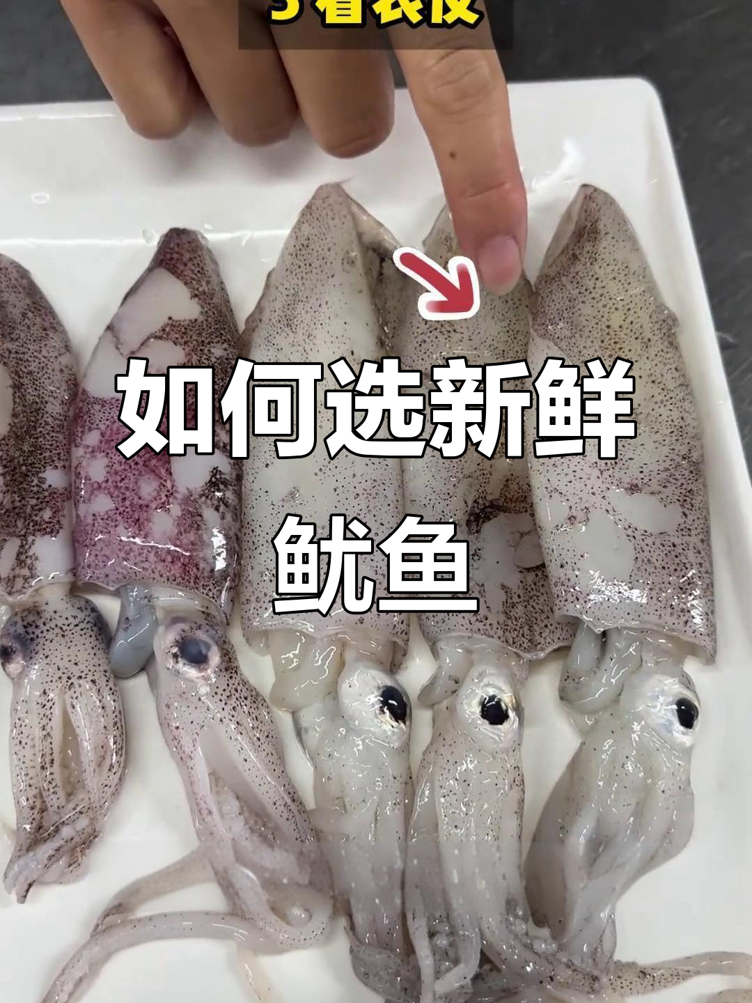 买鱿鱼不踩坑，教你挑选新鲜好货